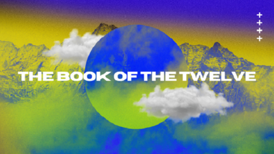 Book of the Twelve
