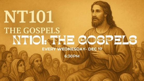 NT101 The gospels